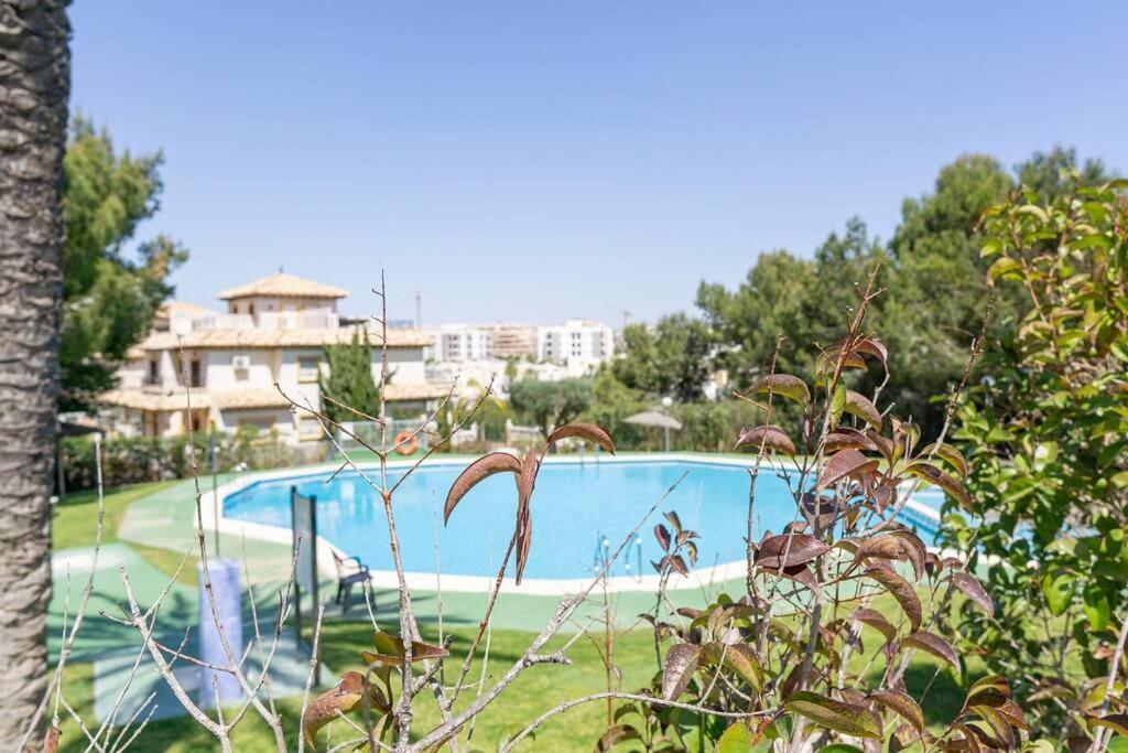 Casa Lilly-Rose, A Beautiful 3 Bedroom Detached Villa A Short Walk To The Villamartin Plaza & Golf Course Villamartin (Valencia) Exterior foto